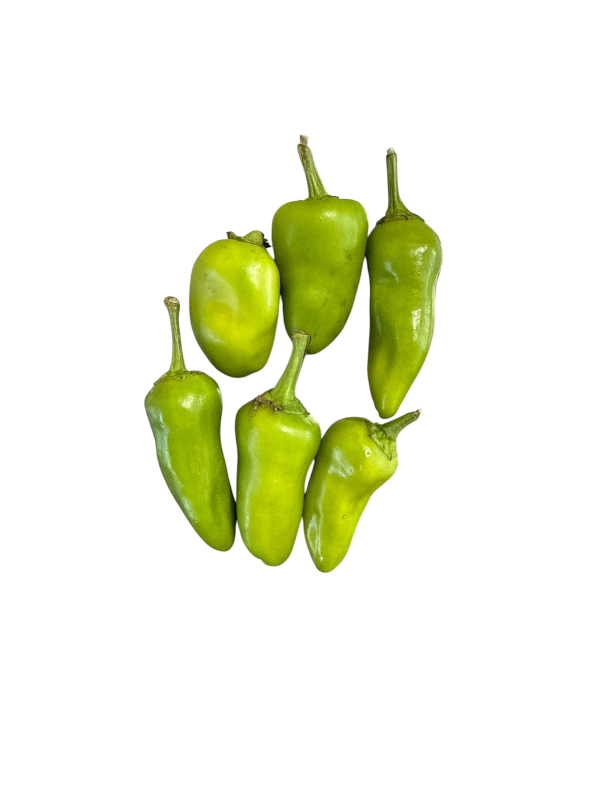 Frische grüne Chili, groß, 1 kg