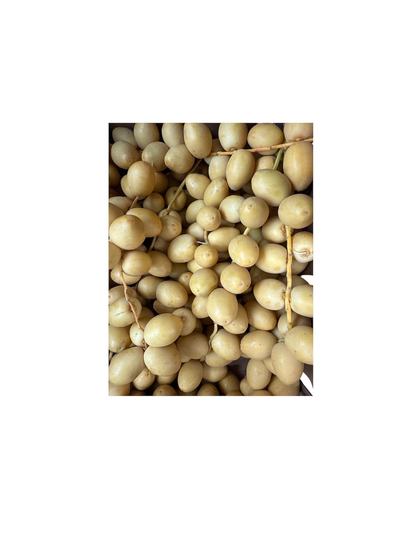 Fresh Datten 250g