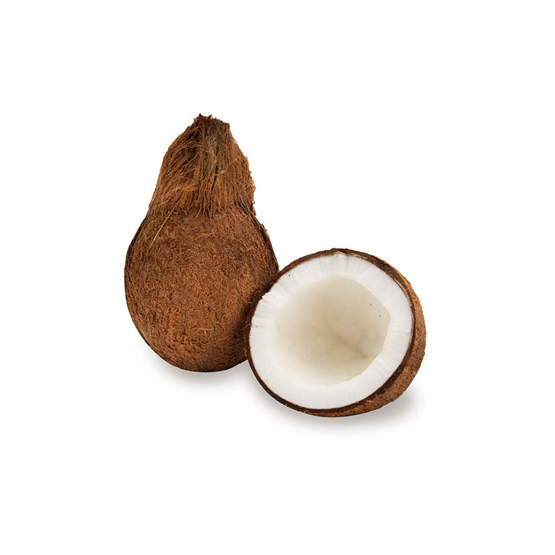 Frische Kokosnuss (für Pooja) 1 Stück