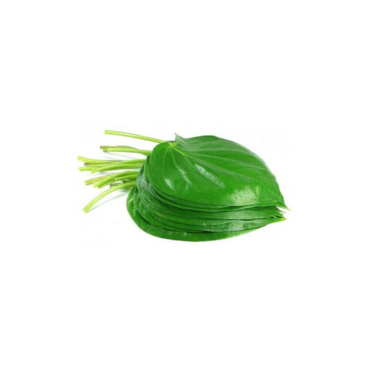 Fresh Leaves betal  Paan 1 pes